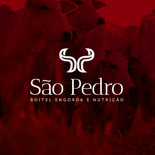 logotipo criado pela wigam São Pedro